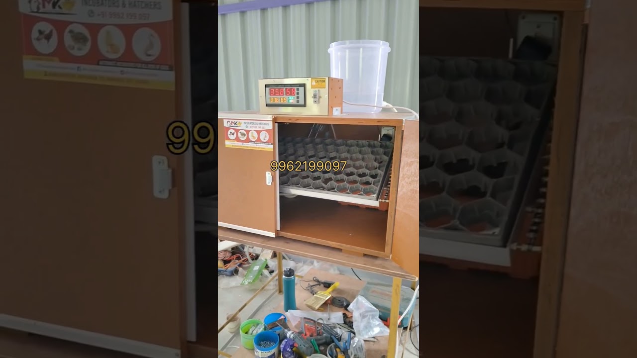 NattuKoli egg incubator #automaticincubator #incubator