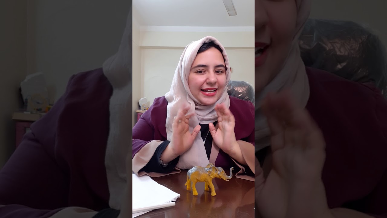 ازاى ادرب ابنى على النفى و انه يقدر يجاوب على الاسئلة ب اه او لا