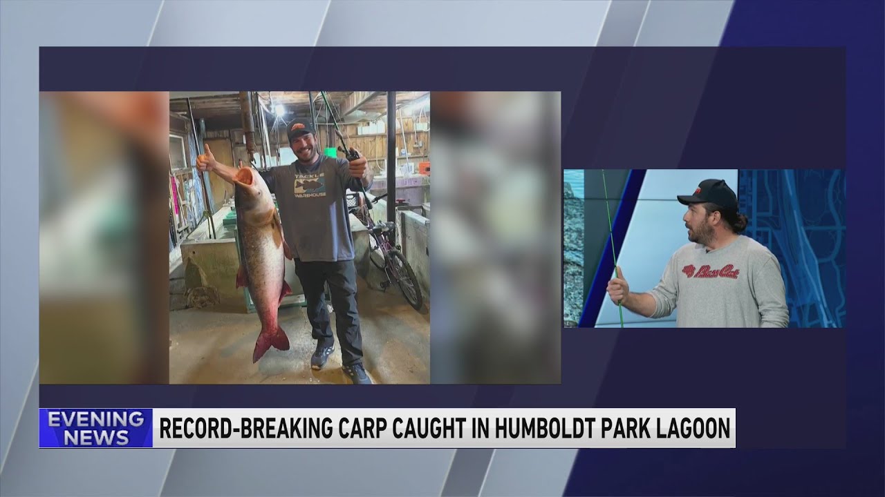 Man who caught record-breaking carp in Humboldt Park discusses battle