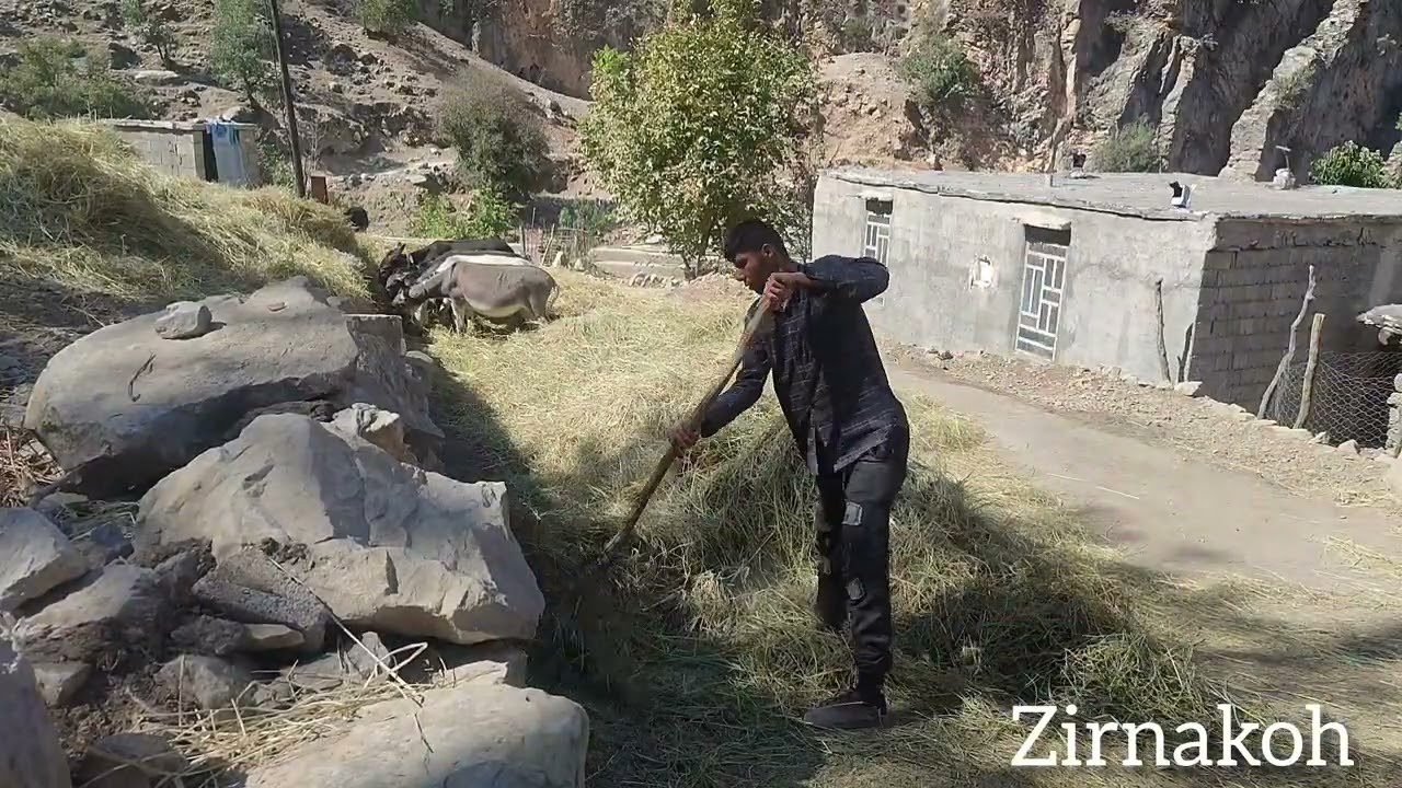 lah kardaCrushing ivy for the cows' winter 🌿🐄 | Mr. Worm and Donkey in Hard Rural Work