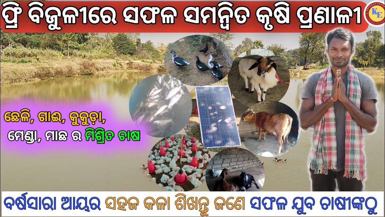 Integrated farming odisha | ସମନ୍ୱିତ କୃଷି ପ୍ରଣାଳୀ:ବର୍ଷସାରା ହାତକୁ ଆସିବ ପଇସା |
