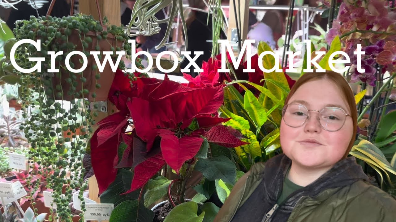 Новогодний Своп и Growbox Market в декабре!