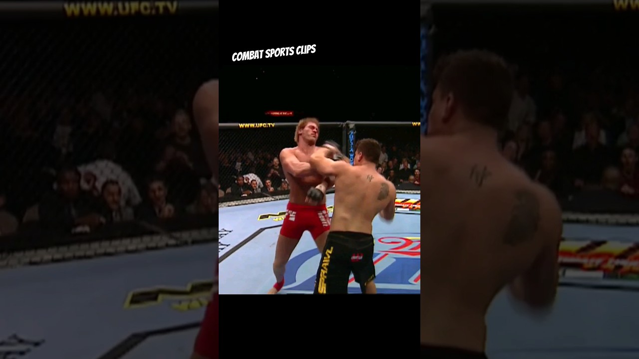 Frank Mir's revenge!                               #combatsportsclips #ufc #mixedmartialarts #mma