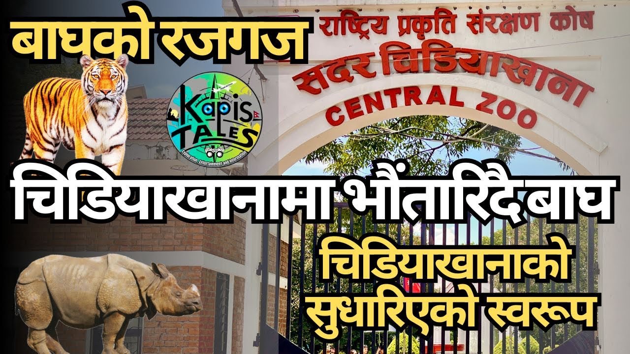 Central Zoo | सदर चिडियाखाना @KapisTales