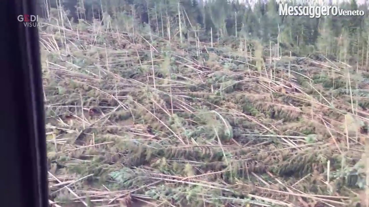 Un milione di metri cubi di legname distrutti dall'alluvione in Fvg: le immagini dall'elicottero