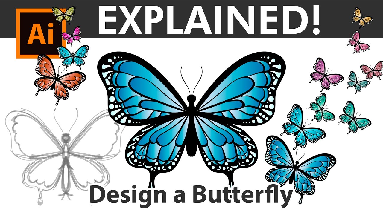 How to Draw a Butterfly from Sketch to Vector - Adobe Illustrator Tutorial