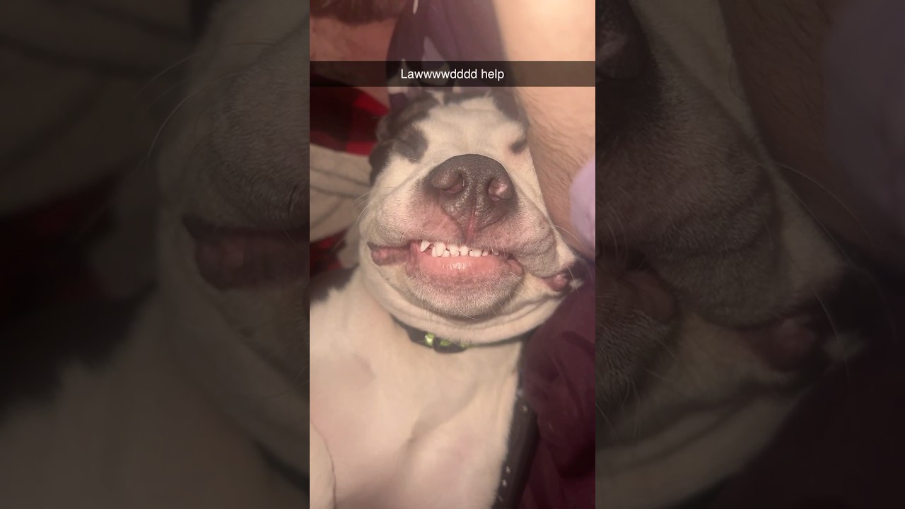 Wait for it 😂