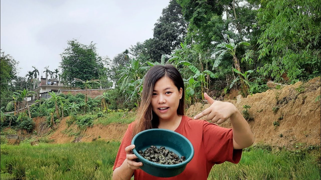 VLOG: Farm life | picking up snails