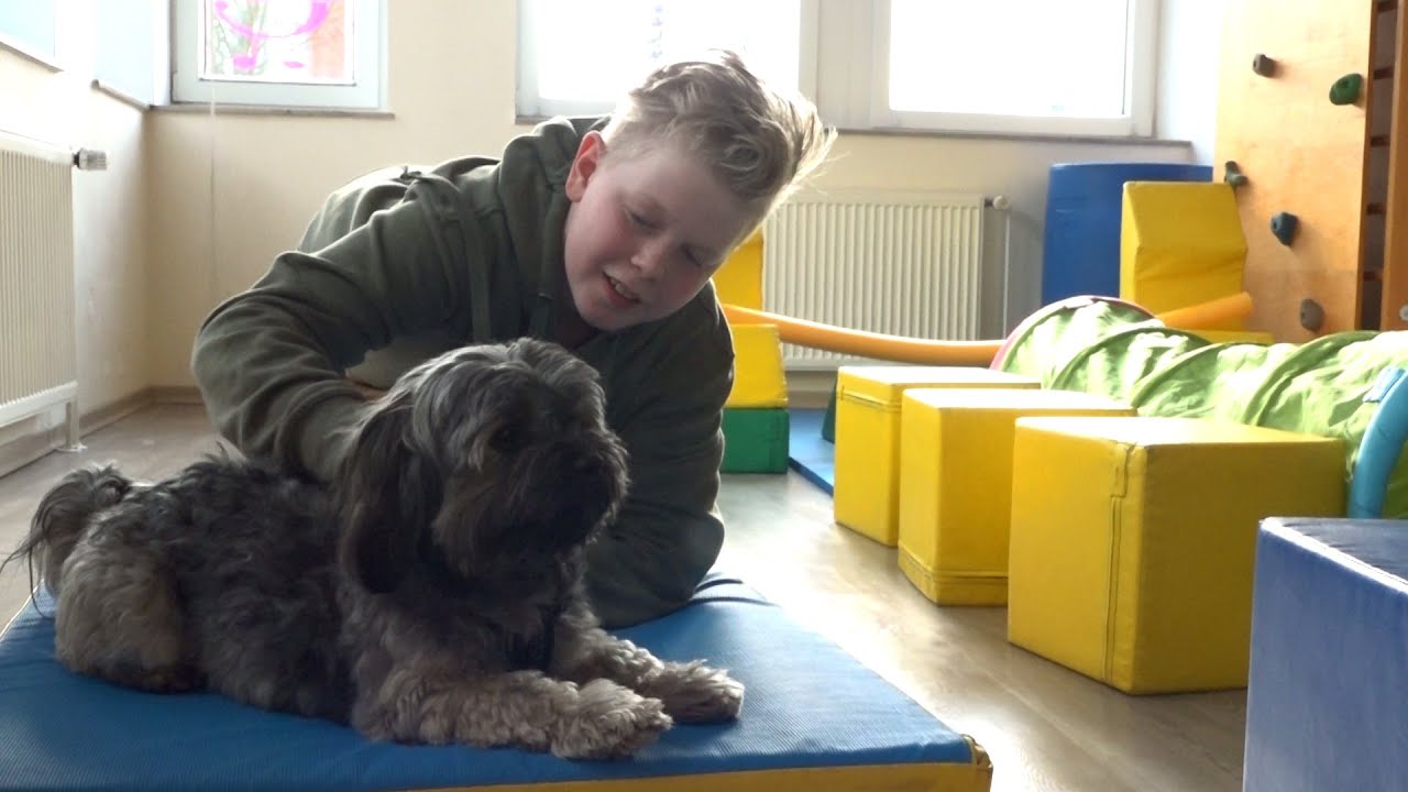 Tiergestützte Ergotherapie - Helfer auf vier Pfoten
