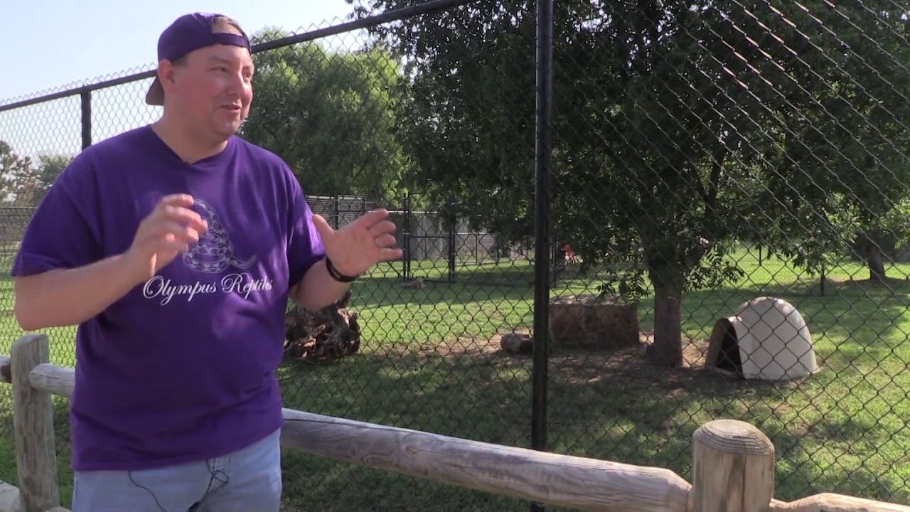 Tanganyika Wildlife Park!  Awesome zoo!! FEED RHINOS, HIPPOS, OKAPI 🤯!  But our equipment FAILED!!