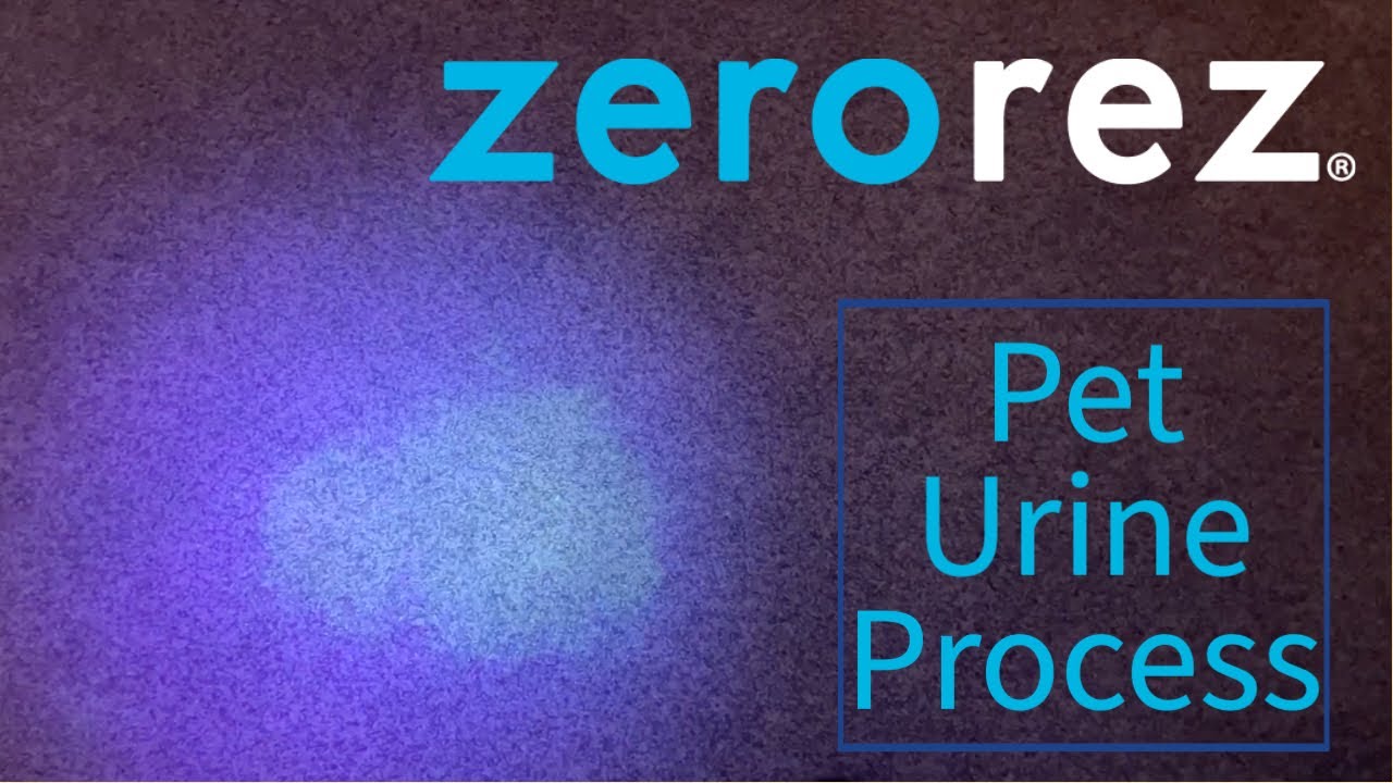 Zerorez® Pet Treatment Process