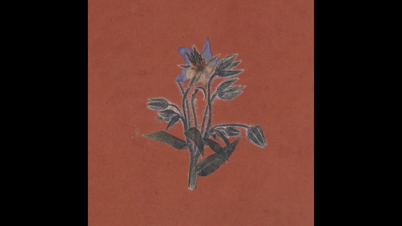 Flavien Berger - vingt heures