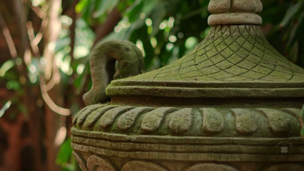 Un paseo por Casa Xipe: Naturaleza, elegancia y momentos inolvidables.