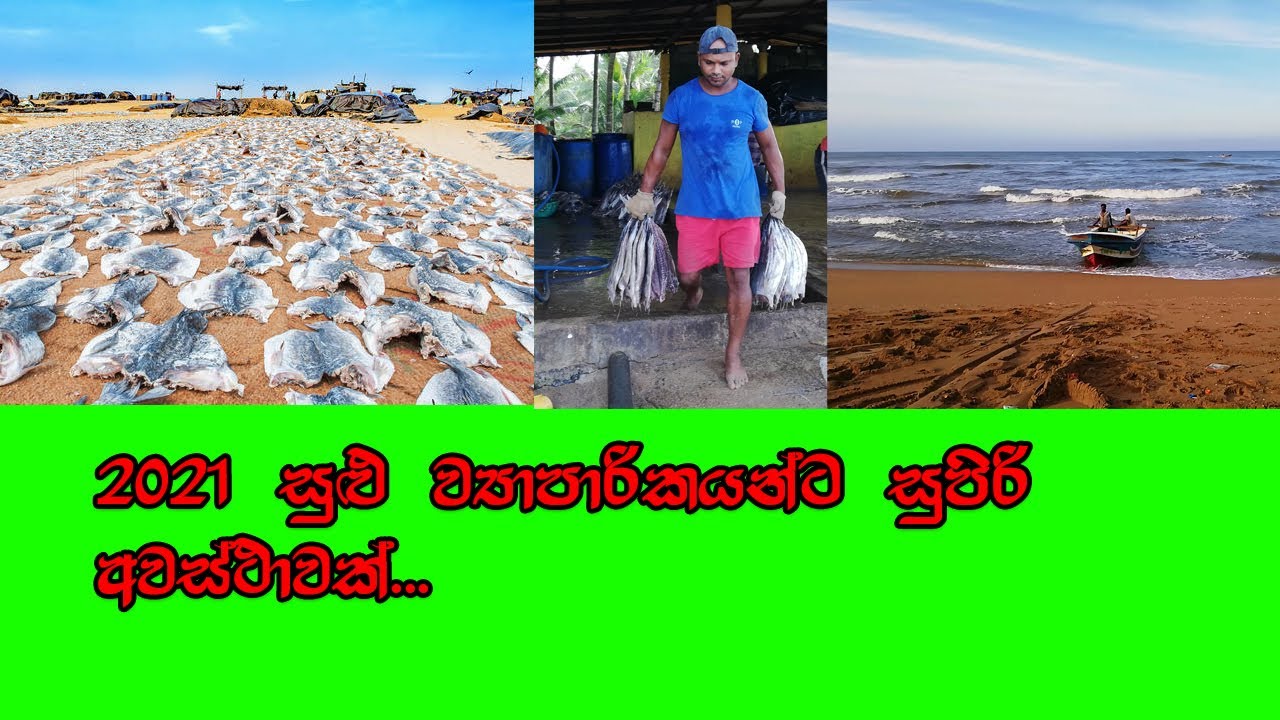 Travel vlog2021|karawala|dry fish processing sri lanka|2021සුළු ව්‍යාපාරිකයන්ට සුපිරි අවස්ථාවක්
