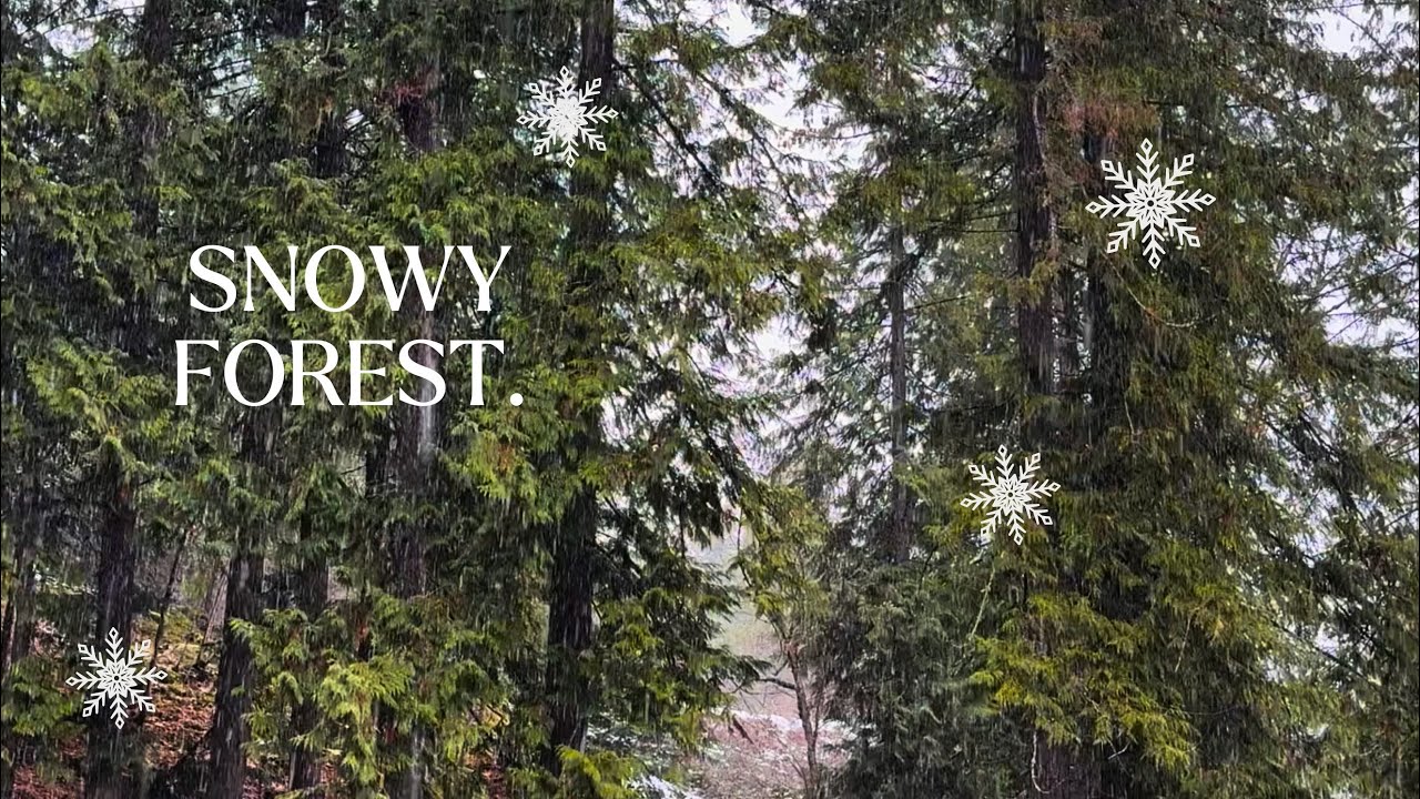 Snow Falling Music Background