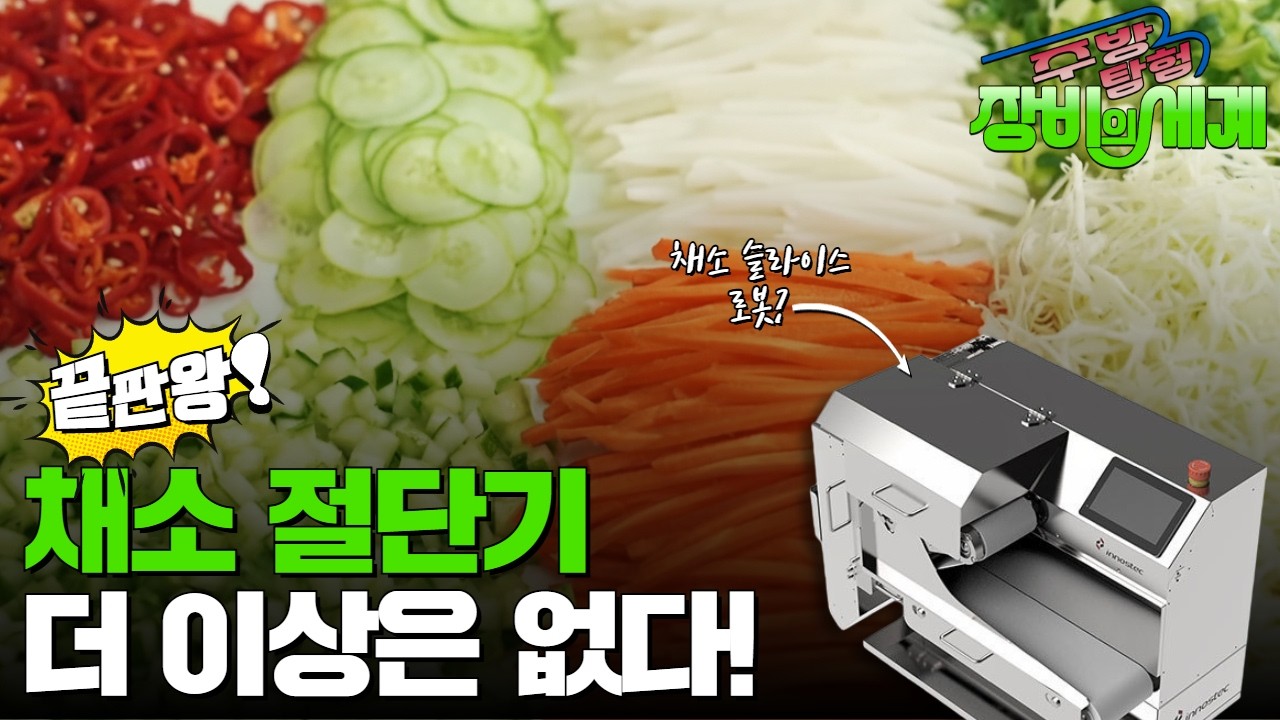 칼질하는 로봇? 0.5mm 파채 진짜 될까? 대신 해줌 #슬라이서 #로봇쿡