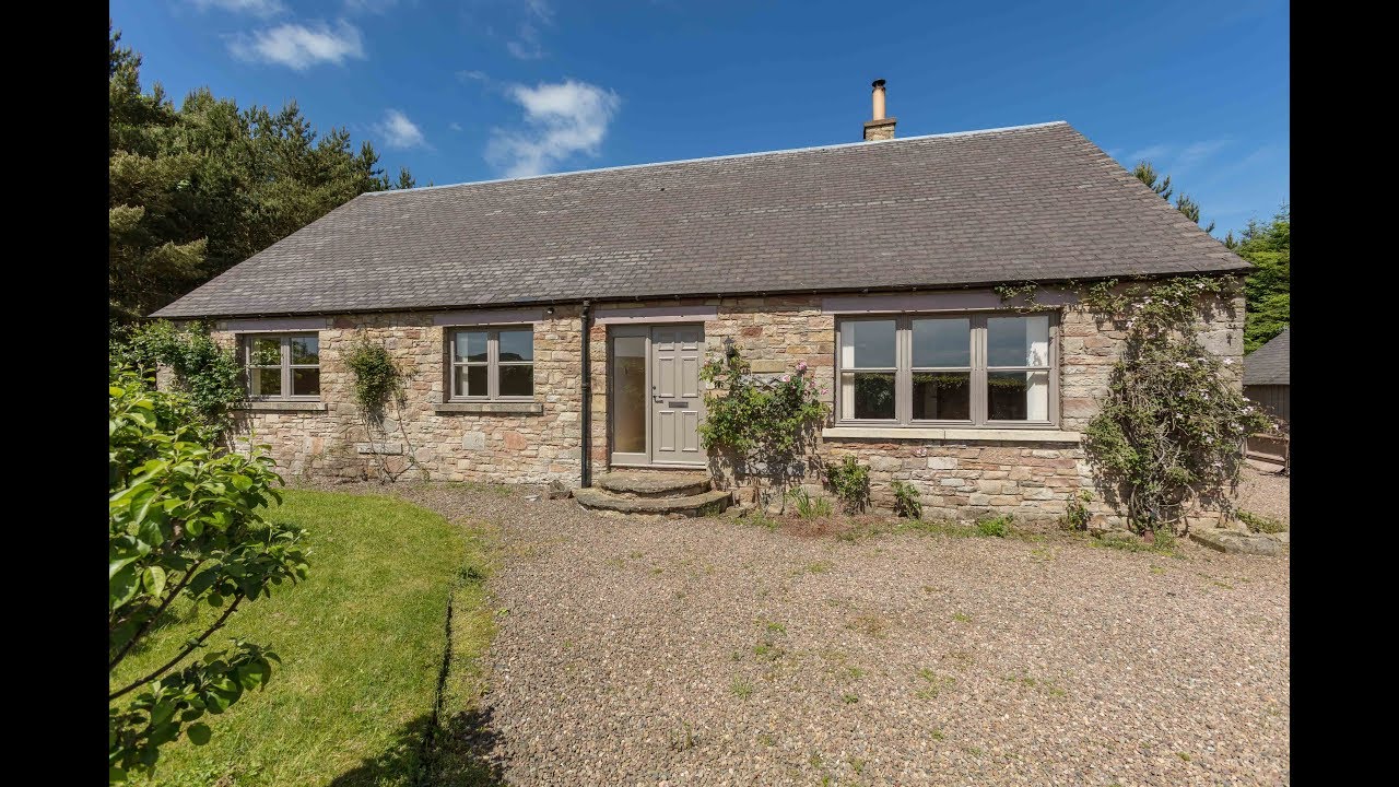 School Wood Jedburgh