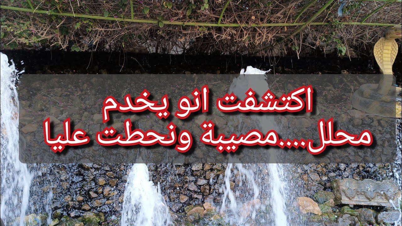 زوجي مايخدمش....متزوج عليا8 نساء❤️😭اكتشفت أنو خدمتو محلل😱😭مصيبة وتحطت عليا يا خوتي راني هابلة وحاصلة