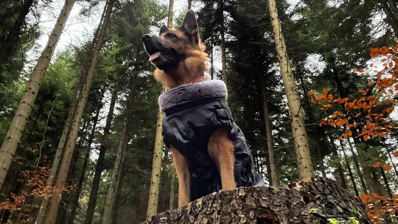 #10 GINAA | GAARA | VALHALLA | Chcieliśmy dojść na Leskowiec 🌲😱 ale się nie udało 🤣 | Beskid Mały