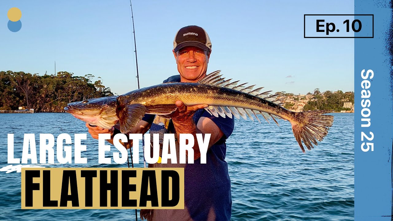 Large Flathead. ET's Secrets to Catching Lizzards!
