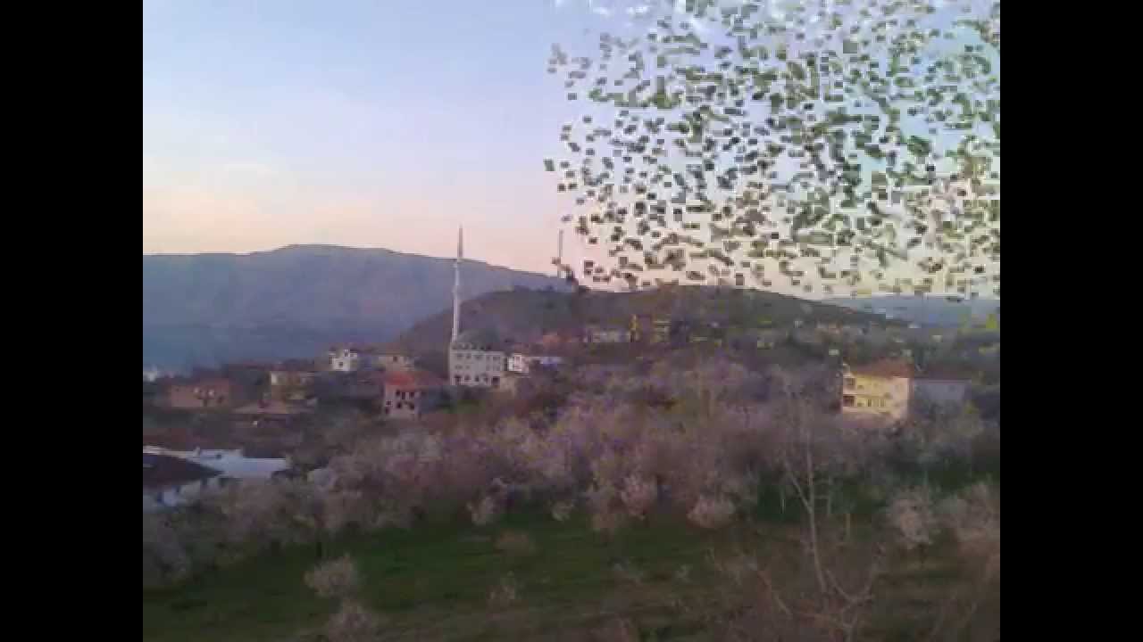 Salkımlı Köyü  ( Mestikan )