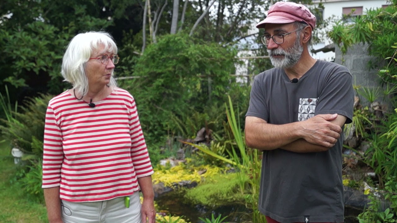 Ecosystème et entretien de la mare