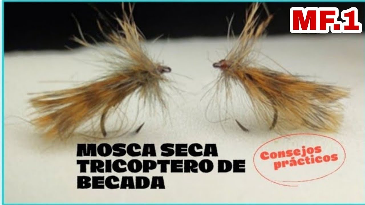 FLY TYING DRY FLY 2021.WOODCOCK TRICOPTER.Competition dry fly.Mosca competición☣️ Tricoptero becada.