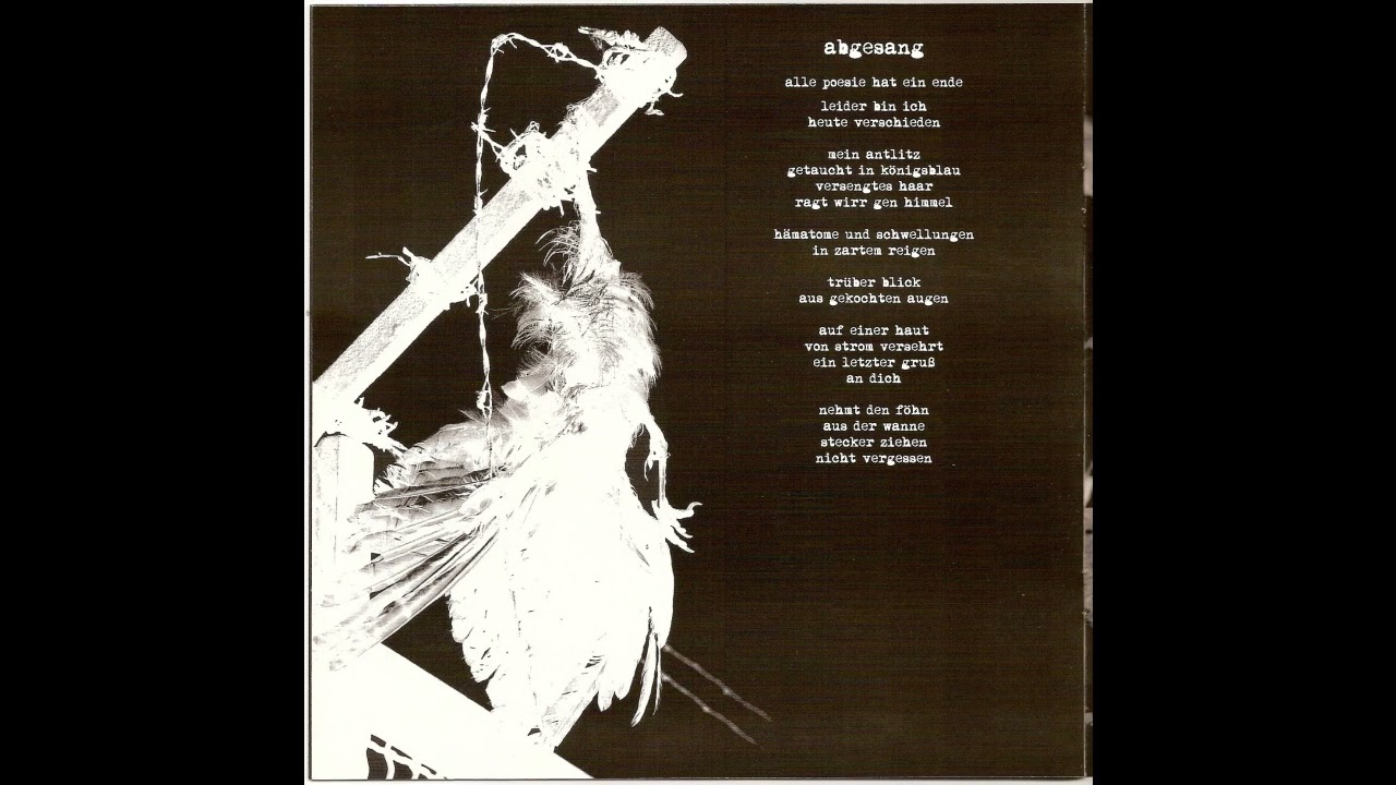 Zodiac – Rasierter Affe (2009)