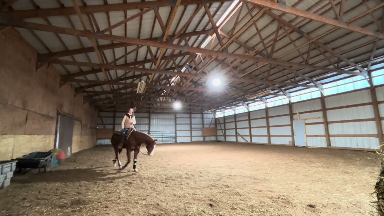 Winter 26 Show Prep Ride