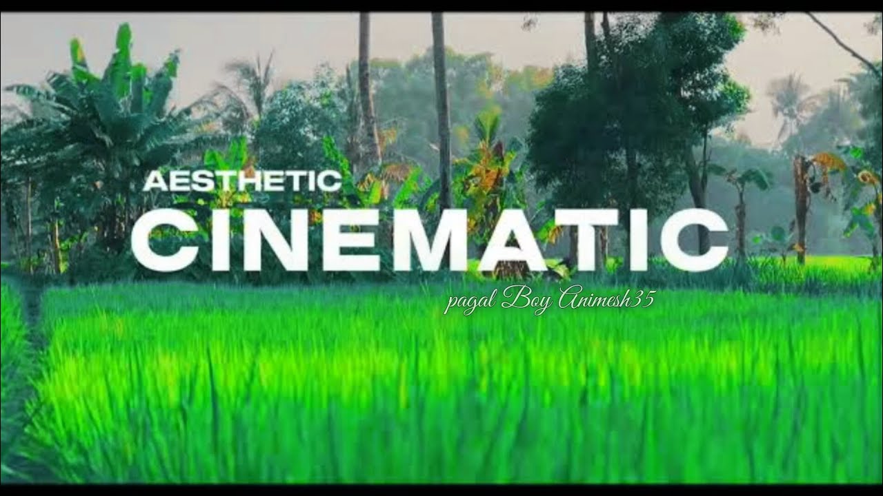 Morning view in village cinematic video 🍁🍃🌾#morning #shorts #viralvideo #4kvideo #cinematicshorts 