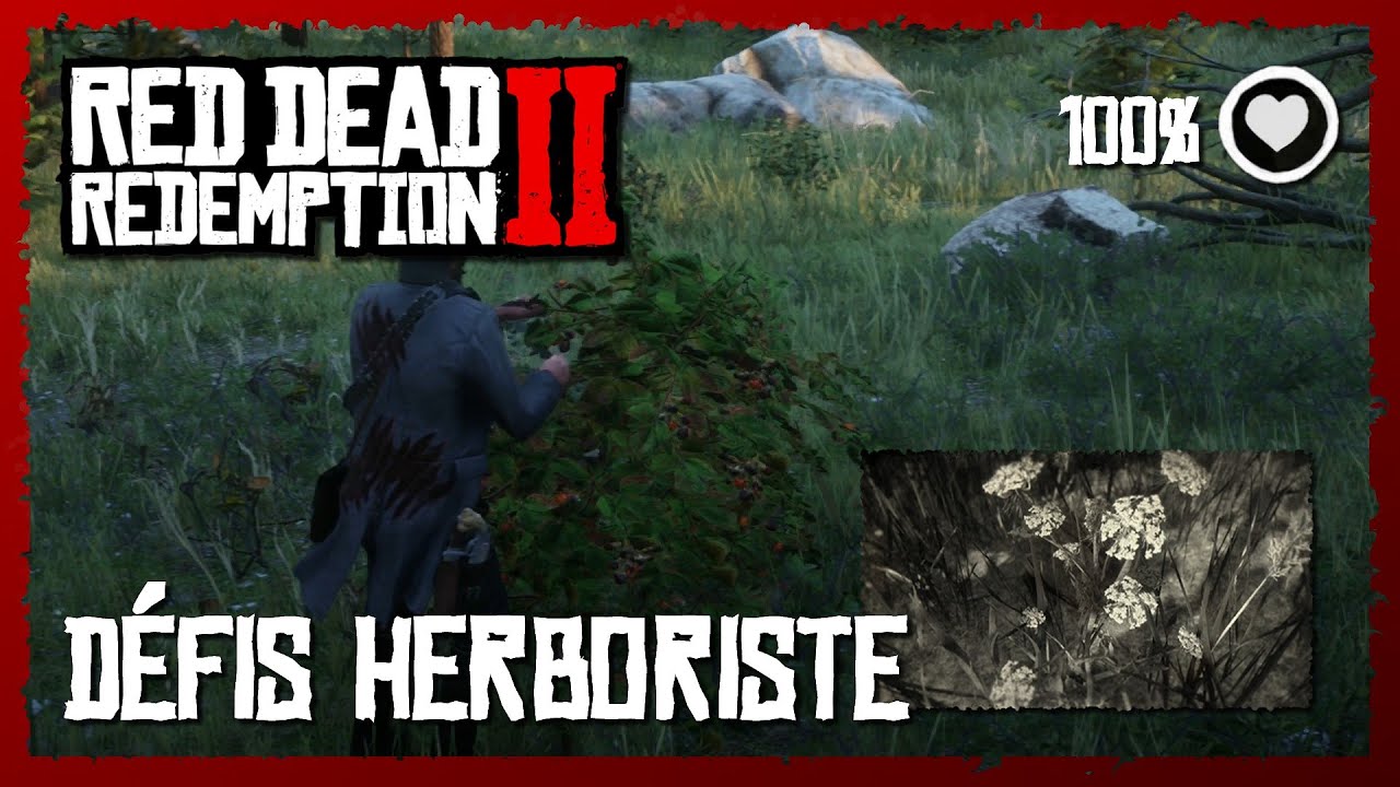 RDR 2 - Défis HERBORISTE : amélioration de la Santé