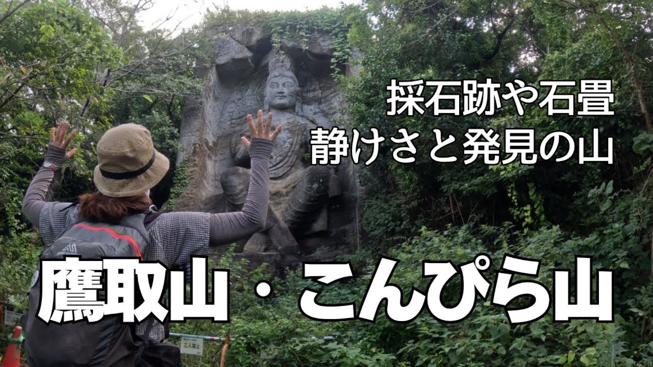 かながわ百名山【鷹取山】【こんぴら山】摩崖仏リベンジ 倒木に阻まれるがやはり超のんびり散歩 【初心者OK】