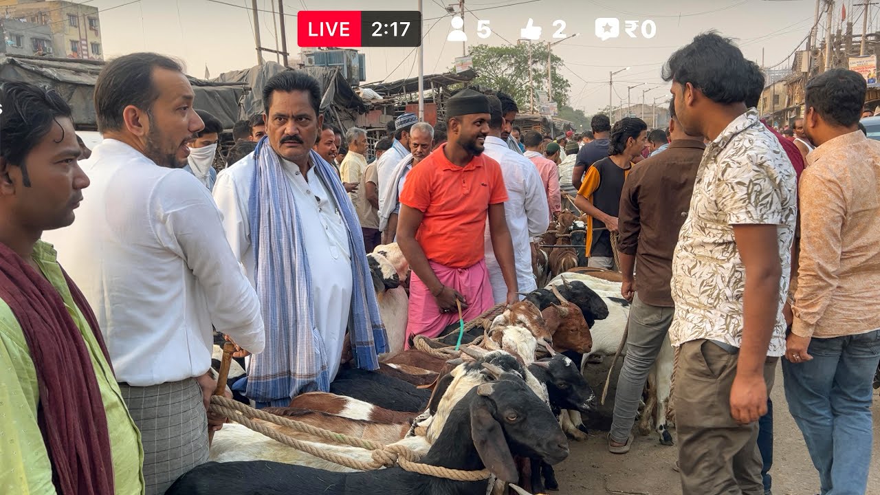 Kolkata Bakra Mandi | Goat Market Price Update