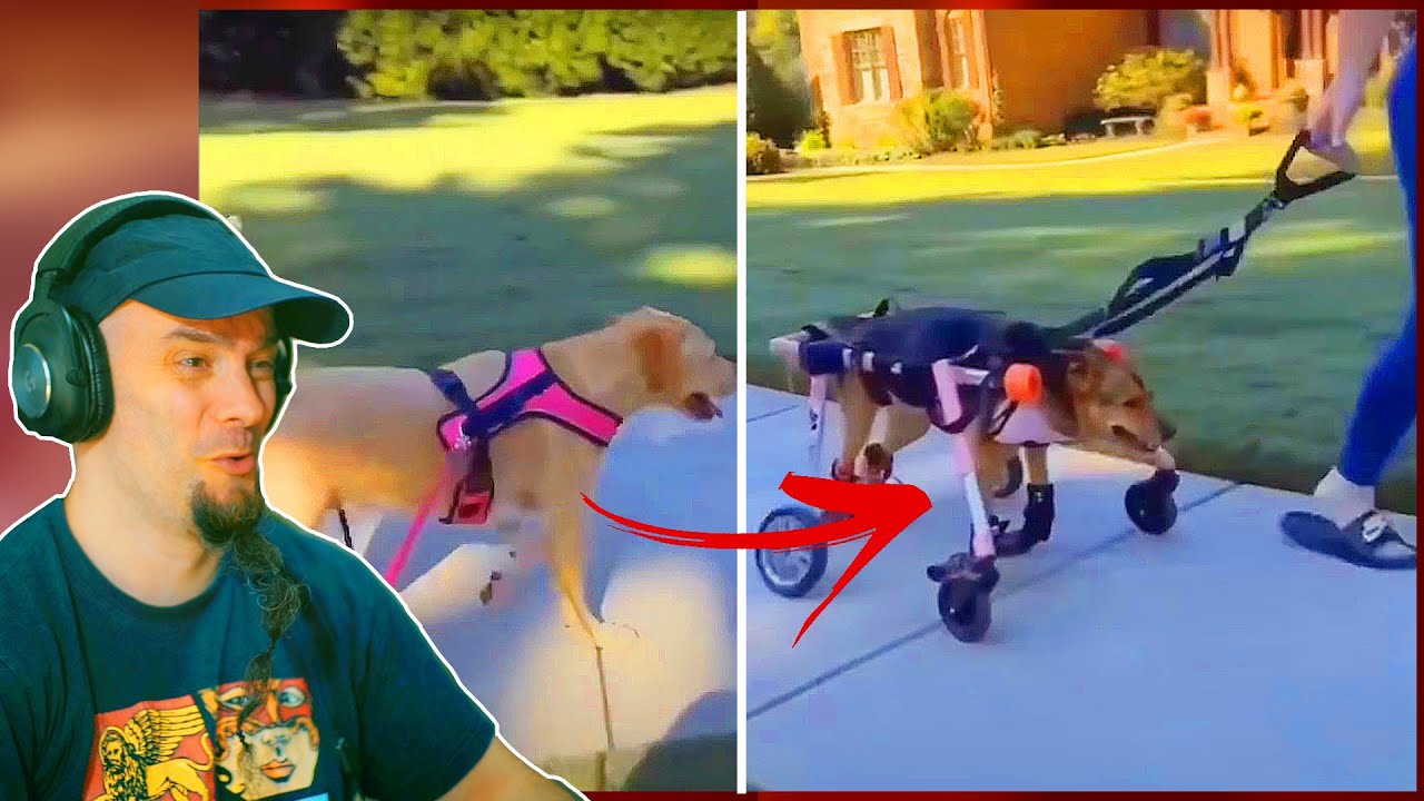 Memes demasiado UNUSUAL - Videos Divertidos #33