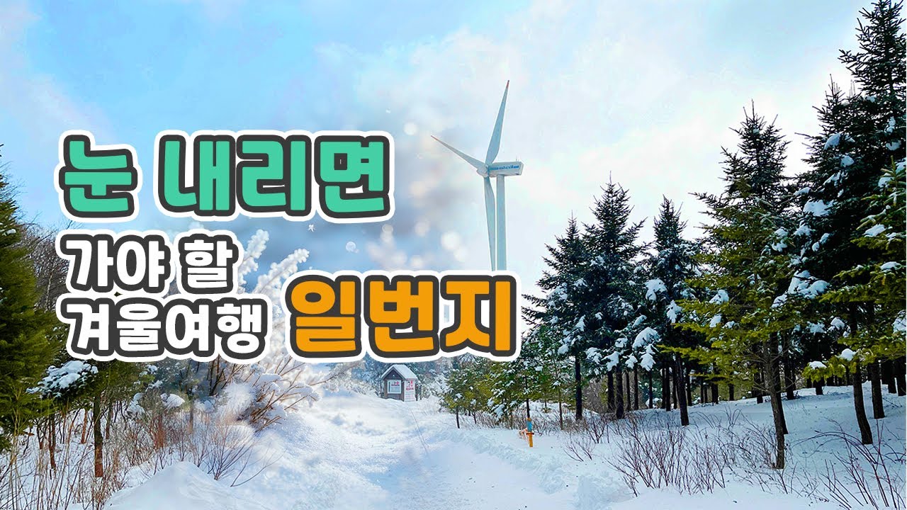 강원도 평창 겨울여행 대관령 눈꽃 산행 선자령  등산코스 /  이번 주 토요일 눈 내리면 더 이뻐져요👀