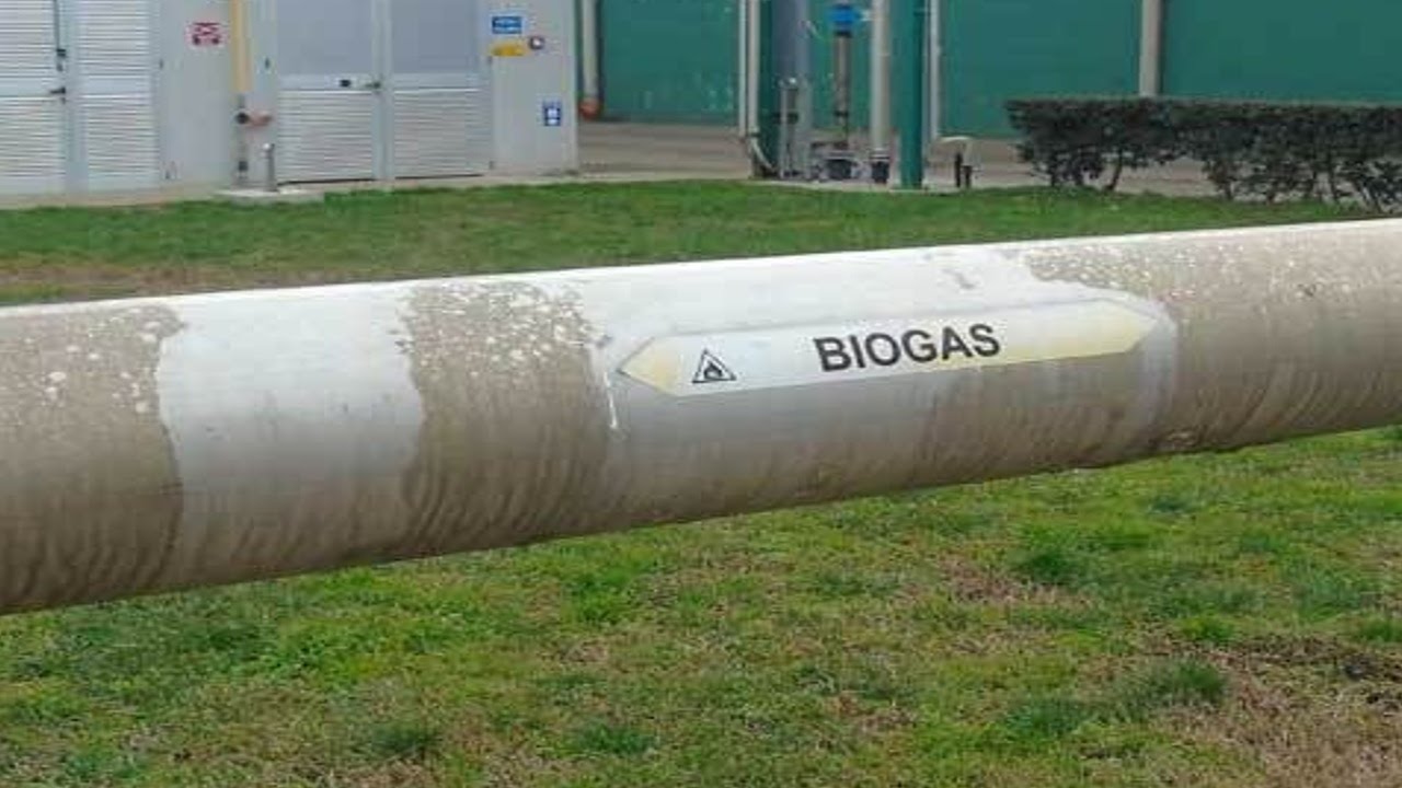 CONSTRUCCION DE GRANJA PORCINA Y PLANTA DE BIOGAS - www.biosuino.com