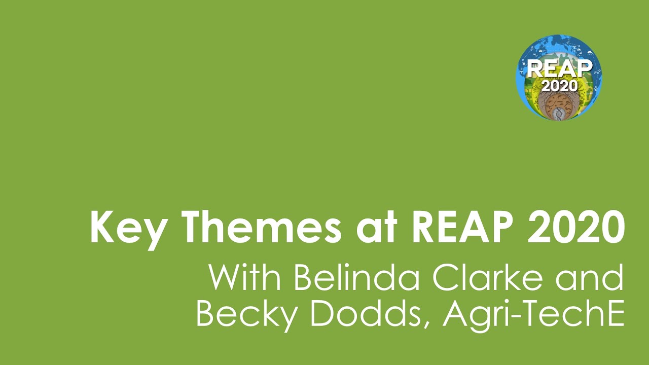 Key Theme at REAP 2020 - From Micro to Macro