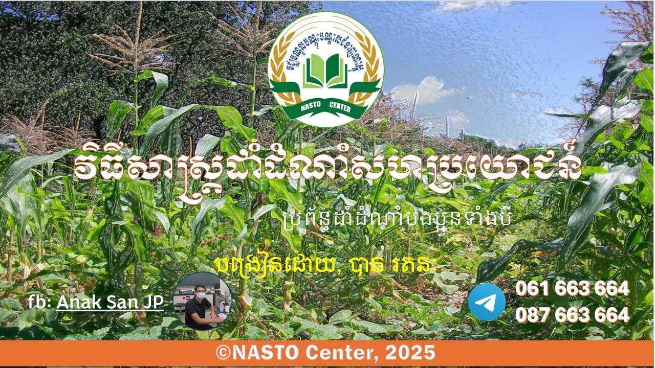 ដំណាំបងប្អូនទាំងបី