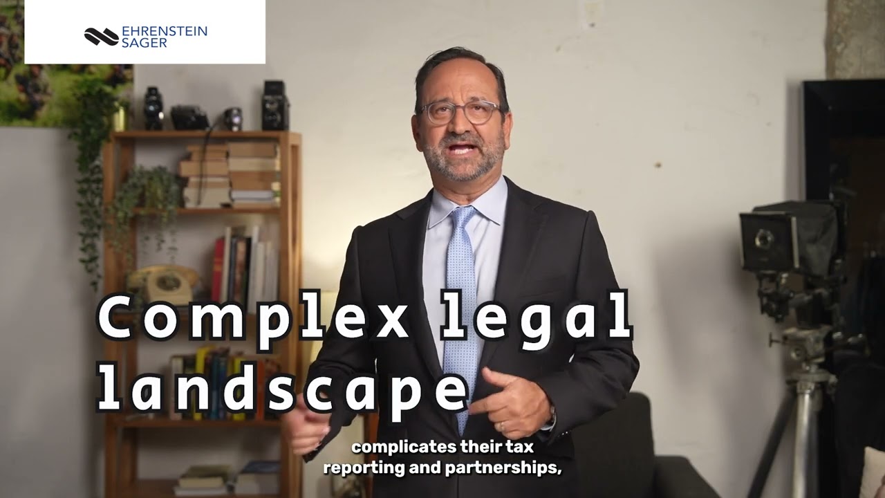 The Legal Infrastructure for a Successful Entry into the U.S. Market