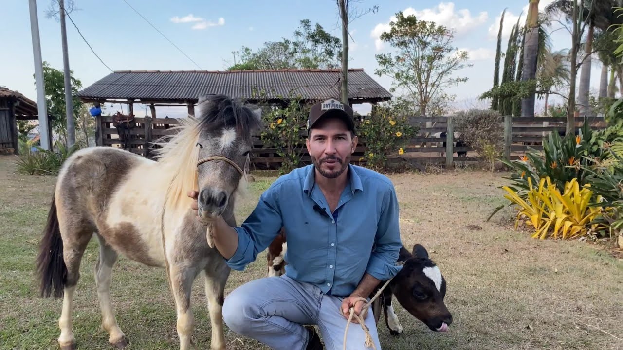 DEIXOU A CIDADE GRANDE PRA IR PRO SÍTIO CRIAR MINI ANIMAIS