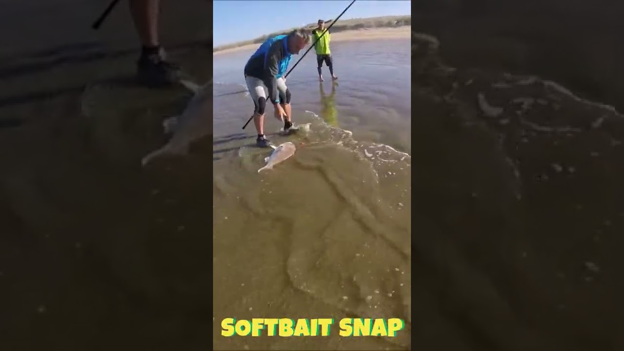 90 MILE SOFTBAITING