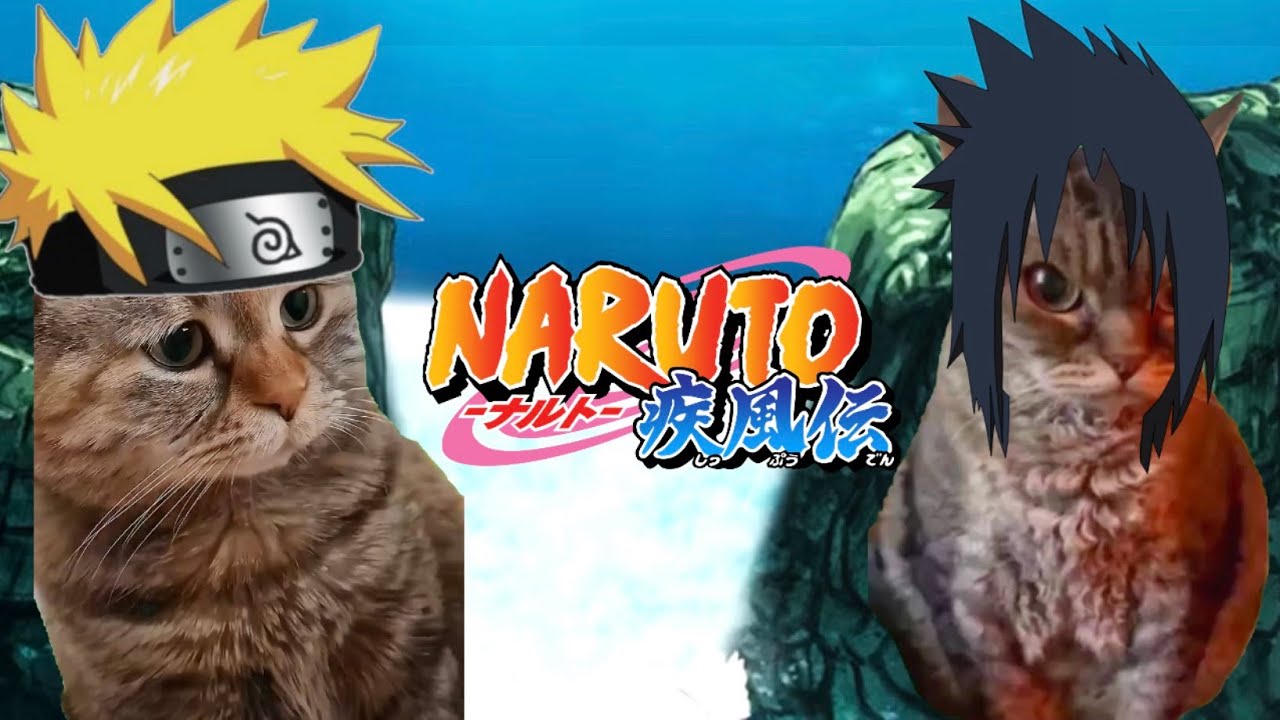 CAT MEMES: Naruto