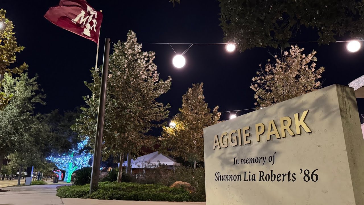 Экскурсия по местам с рождественской иллюминацией в парке Агги!