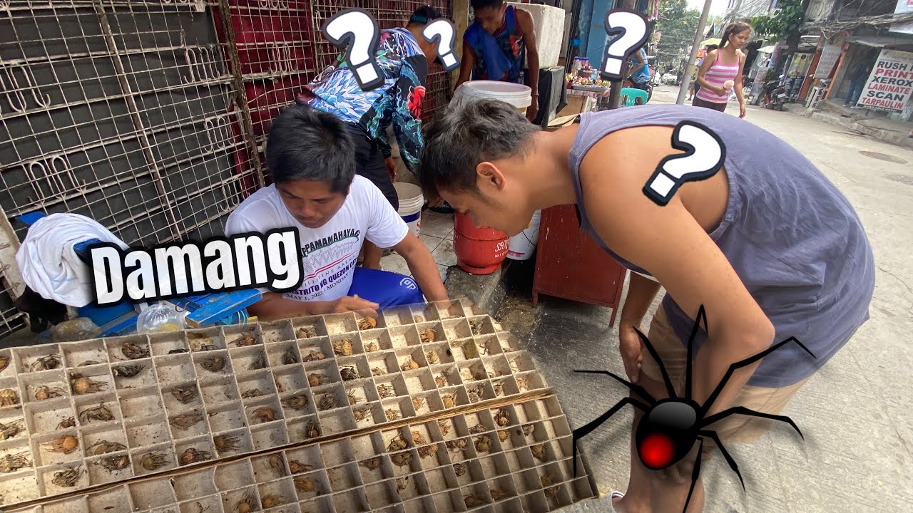 Bumili kami ng kuya ko ng gagamba