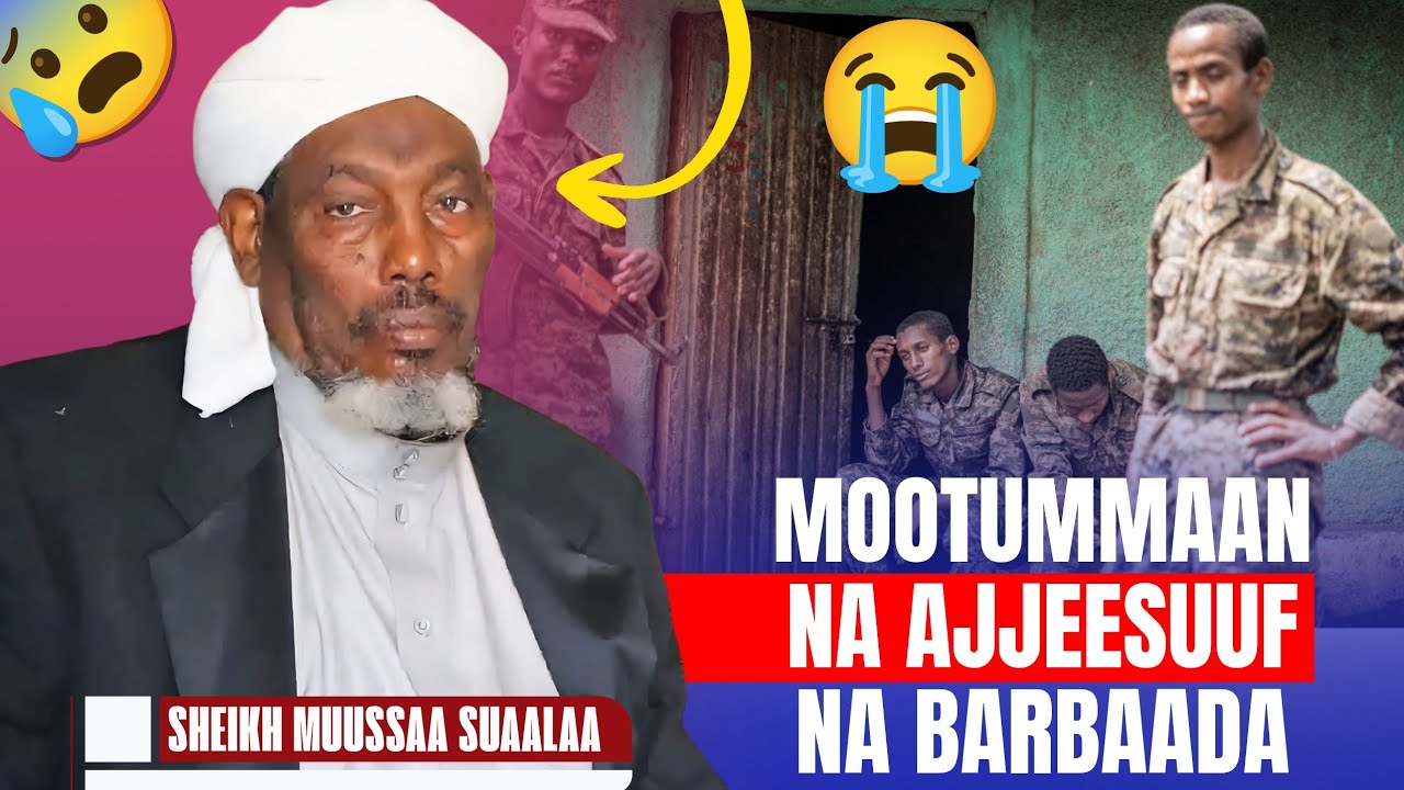 Mootummaan Na Ajjeesuuf Warri Biyyaa Reeffa Kiyya Fudhachuuf Na Barbaadu. 😭 Shek Musa Suala