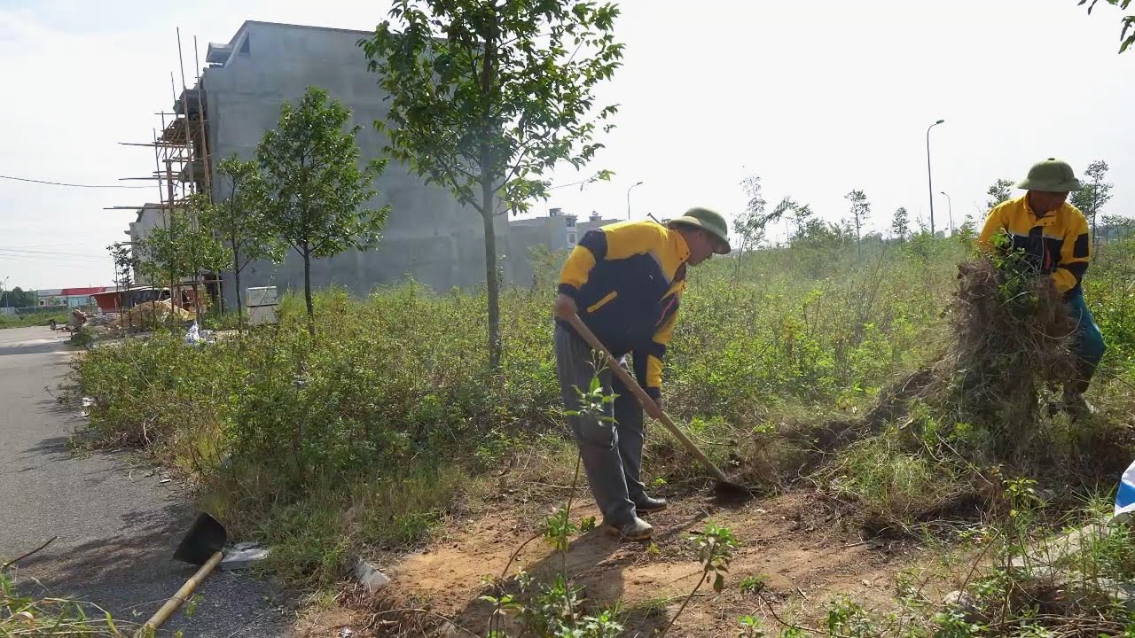 How we REVIVED a neglected sidewalk that left everyone AMAZED - clean up sidewals