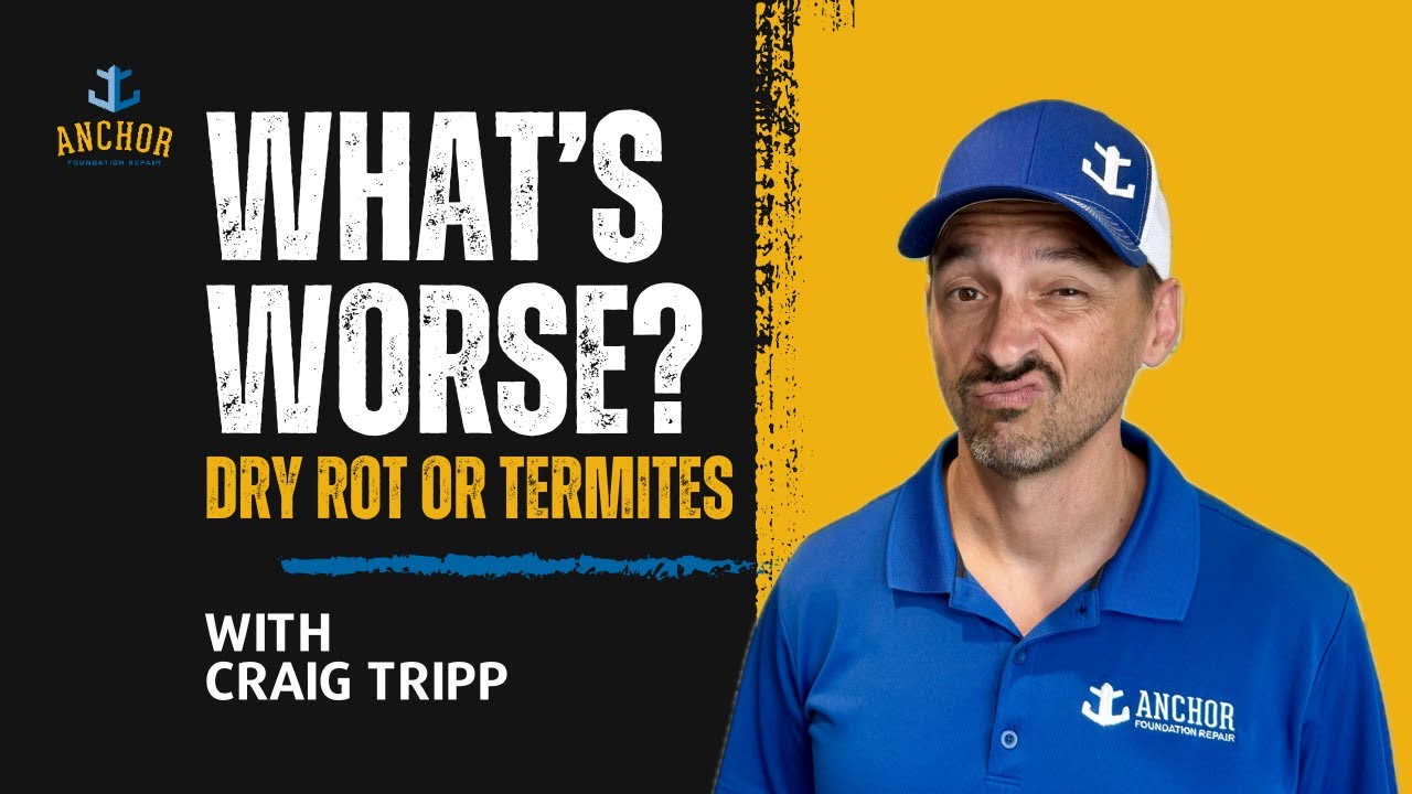 DRY ROT vs. TERMITES: Causes - Preventions - Repairs