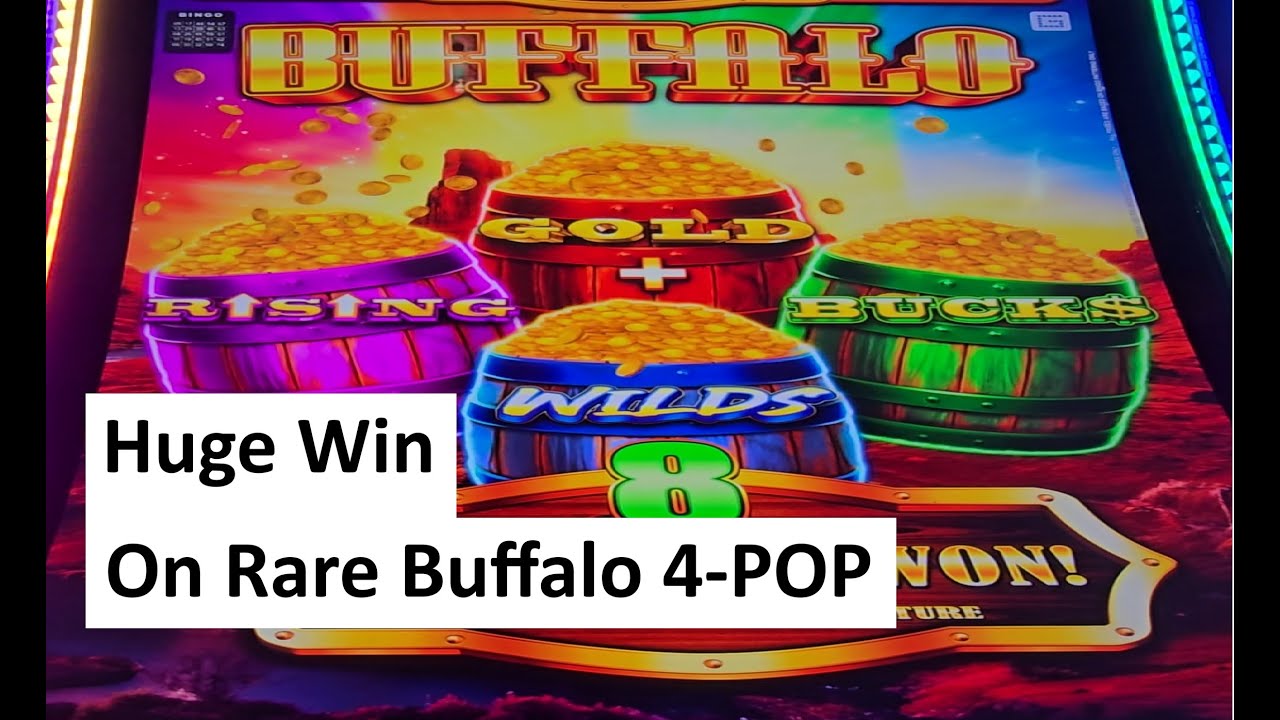 Huge Win on Buffalo Quad Power Slot!! Aristocrat Game