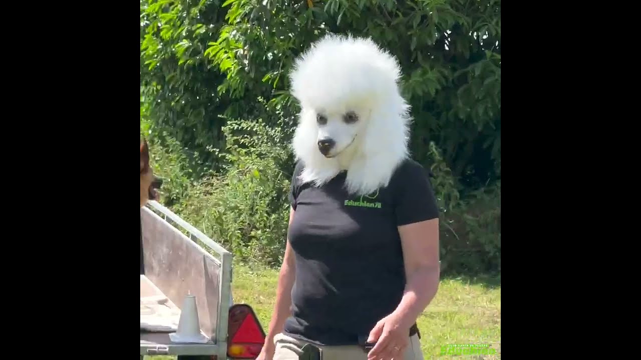F&ecirc;te du club canin EDUCHIEN 2022