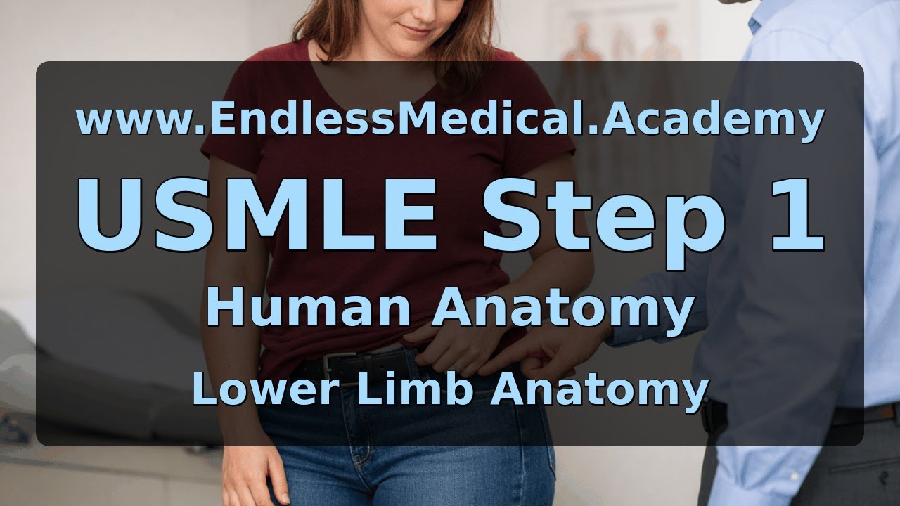 Lower Limb Anatomy, Human Anatomy, USMLE Step 1 - Full Vignette with Extended Explanations